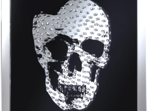 Crystal Skull Mirror — Contemporary Luxe Wall Sculpture